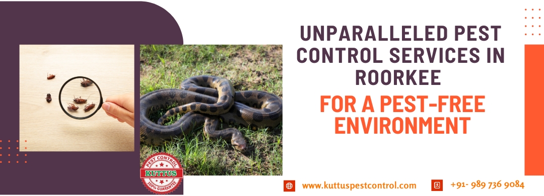 Pest Control Service in Roorkee